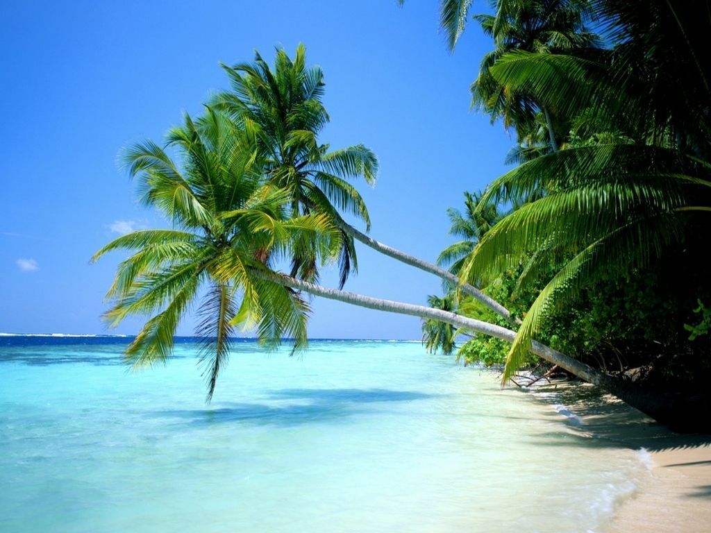 playa