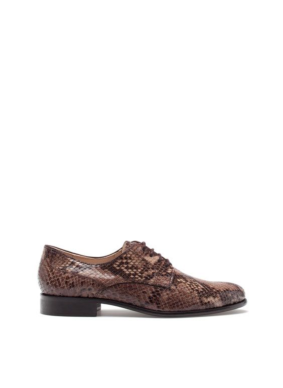 zapatos cordones masculinos.jpg serpiente