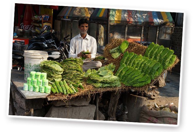 Vendedor en el Bazaar de Laad