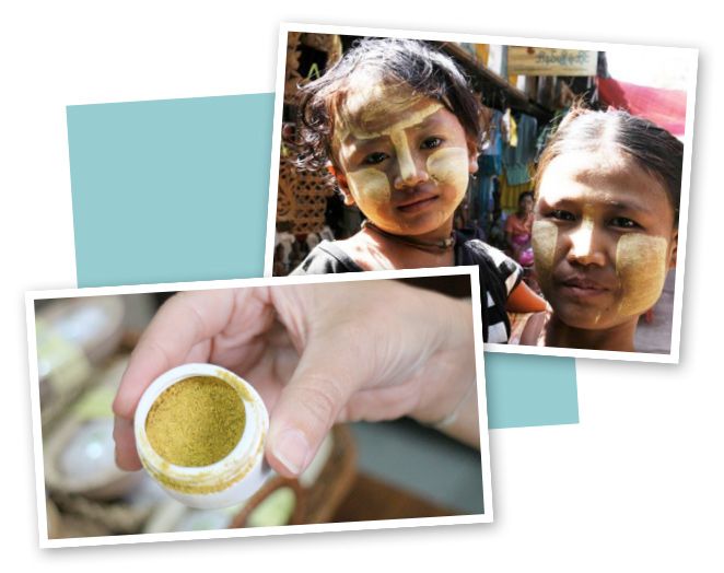 Polvo de sándalo de Birmania que las mujeres utilizan para pintarse la cara con él, ya que les protege milagrosamente de las inclemencias solares