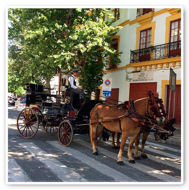 Calesa descansando a la sombra en la Feria de Sevilla 2014