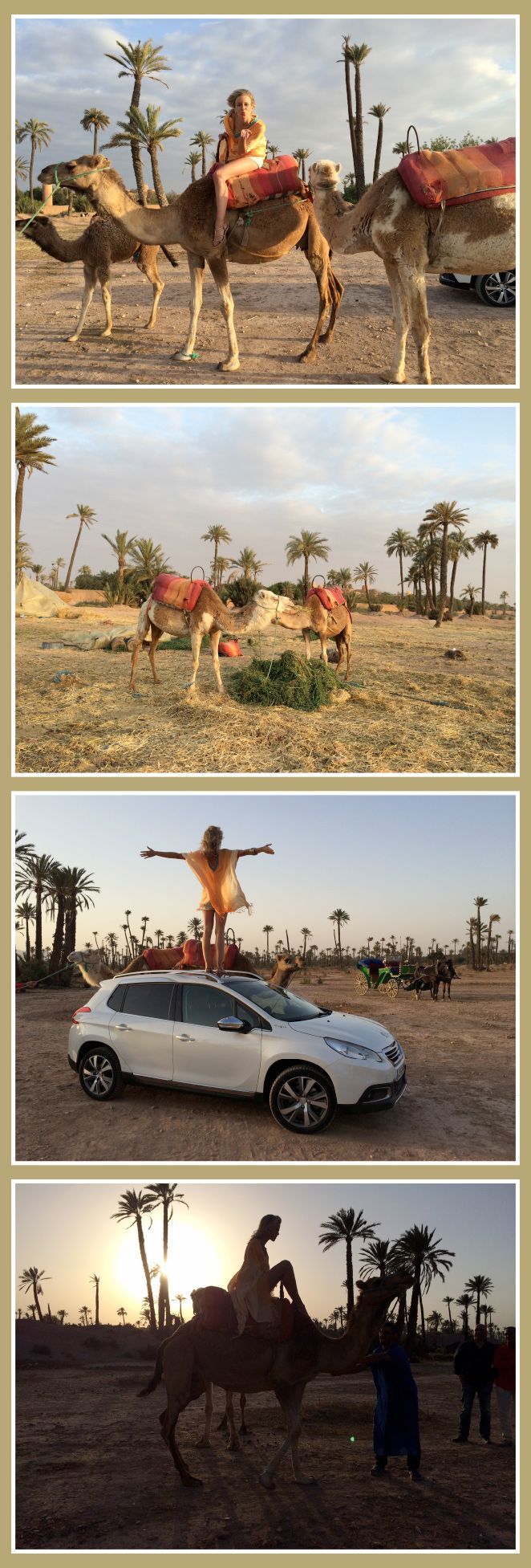El espectacular Palmeral, situado en los exteriores de Marrakech