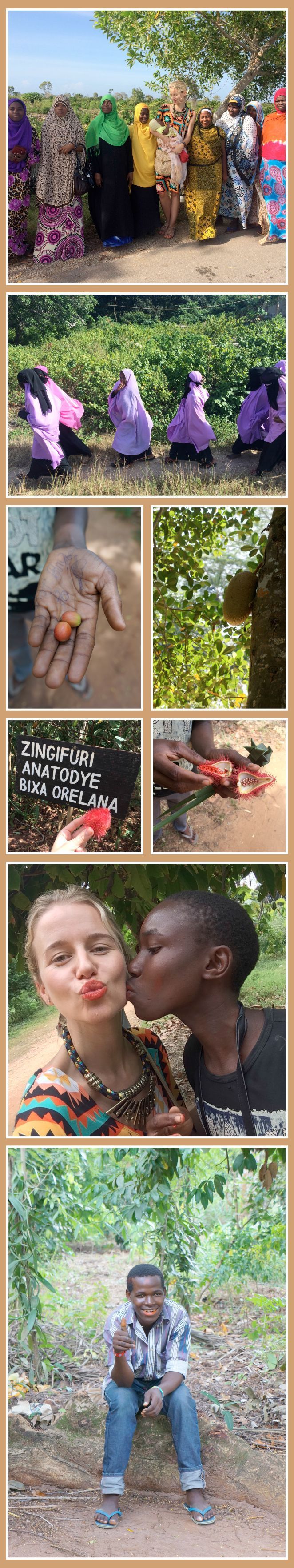 Parón en una plantación de especias y plantas típicas de Zanzíbar, donde María León se enamoro de una planta que tiñe sus labios de un rojo intenso.
