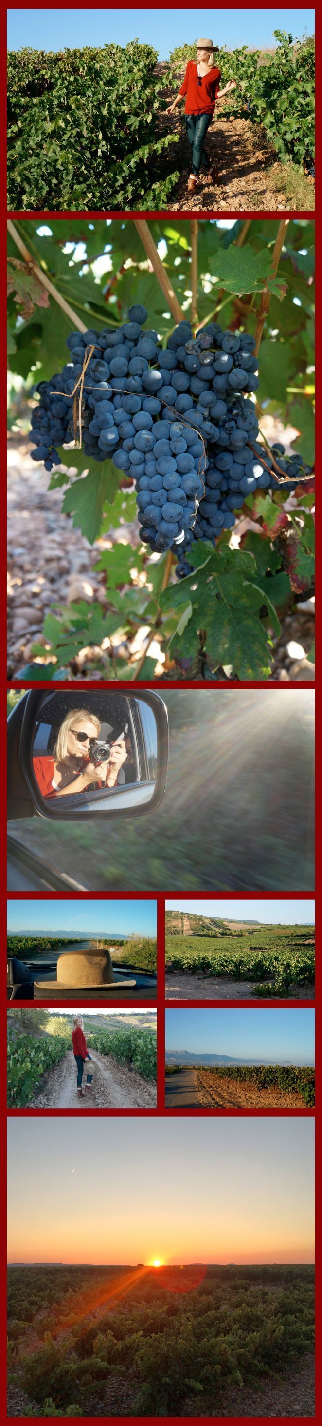 Para disfrutar de una puesta de sol a la riojana, salimos al campo a dar un paseo entre viñedos. Pura magia!!