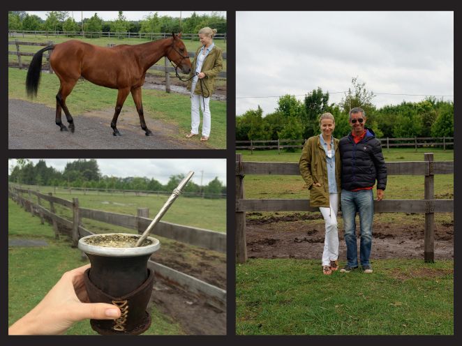 Tuve la oportunidad de acercarme al mundo del polo de la mano de Horacito Heguy Tuve la oportunidad de acercarme al mundo del polo de la mano de Horacito Heguy
