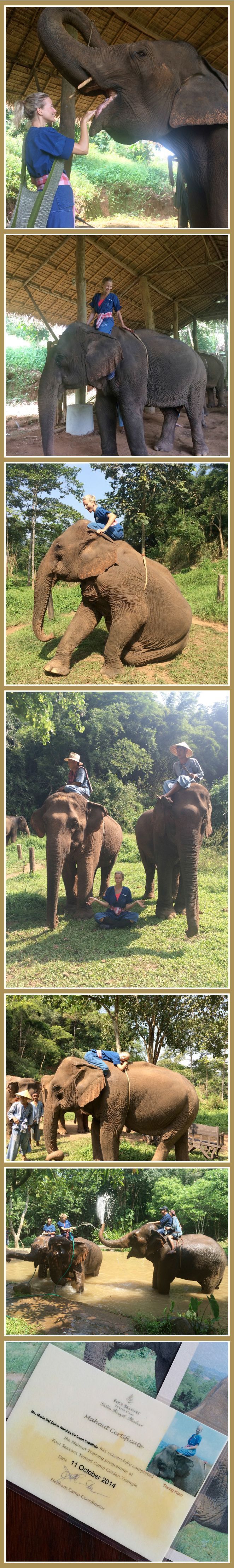 María León y su elefante Thong Kam y su Mahou Berm