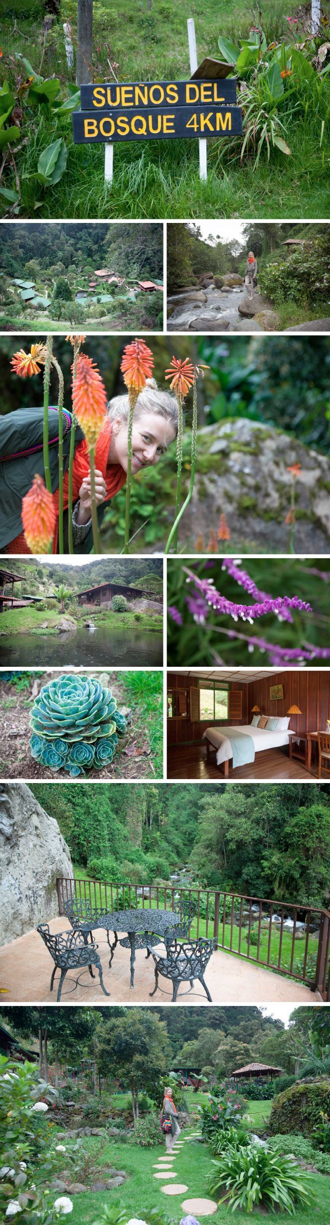 Trogon Lodge, San Gerardo de Dota