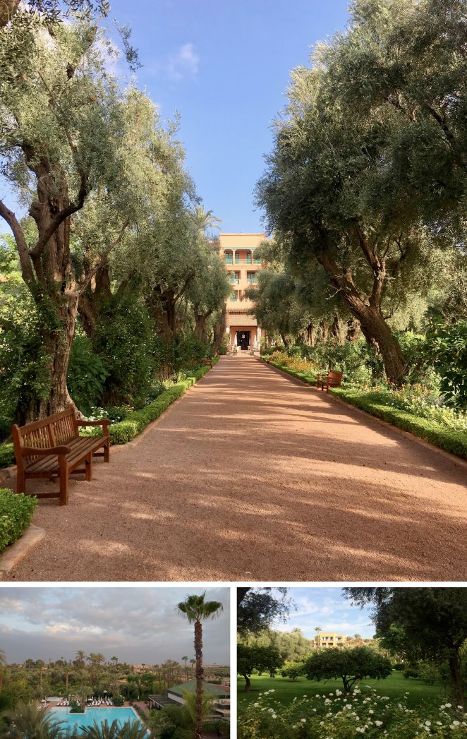 El hotel fue un regalo del rey Moulay Abdellah a su hijo Moulay Mamoun en el siglo XVIII (de ahí su nombre). Entonces eran solo unos jardines que hoy se han convertido en un auténtico vergel con árboles frutales, olivos centenarios, flores ricas en fragancias… ocho hectáreas que hacen de La Mamounia un verdadero paraíso.