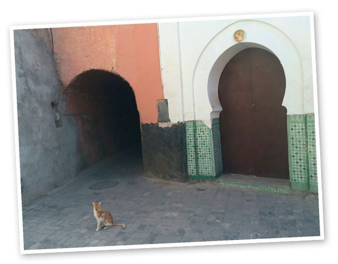 Dos curiosidades: en Marrakech os encontraréis infinidad de gatos (porque los habitantes de La Medina creen que los perros asustan a los ángeles cuando ladran) y no dejaréis de ver por todas partes la famosa mano de Fátima, que según la cultura musulmana cura dolencias y previene del mal de ojo.